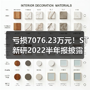 亏损7076.23万元！ST新研2022半年报披露（图2）