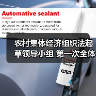 农村集体经济组织法起草领导小组 第一次全体会议在京召开（图3）