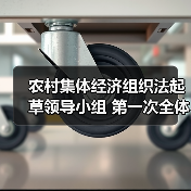 农村集体经济组织法起草领导小组 第一次全体会议在京召开（图1）