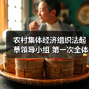 农村集体经济组织法起草领导小组 第一次全体会议在京召开（图4）