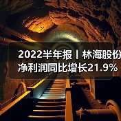 2022半年报丨林海股份净利润同比增长21.9%（图3）