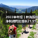 2022半年报丨林海股份净利润同比增长21.9%（图1）
