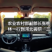 农业农村部副部长张桃林一行到河北调研“三夏”农机化生产以及草地贪夜蛾布防工作(图4) 农业农村部副部长张桃林一行到河北调研“三夏”农机化生产以及草地贪夜蛾布防工作(图4)