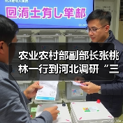 农业农村部副部长张桃林一行到河北调研“三夏”农机化生产以及草地贪夜蛾布防工作(图1) 农业农村部副部长张桃林一行到河北调研“三夏”农机化生产以及草地贪夜蛾布防工作(图1)