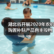 湖北省开展2020年农机购置补贴产品自主投档工作（图4）