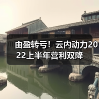 由盈转亏!云内动力2022上半年营利双降(图2) 由盈转亏!云内动力2022上半年营利双降(图2)