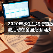 2020年水生生物增殖放流活动在全国范围同步举行(图3) 2020年水生生物增殖放流活动在全国范围同步举行(图3)