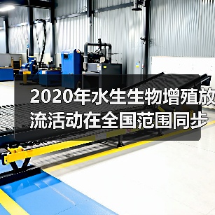 2020年水生生物增殖放流活动在全国范围同步举行(图4) 2020年水生生物增殖放流活动在全国范围同步举行(图4)
