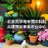 北京昌平与中国农科院共建国家未来农业中心（图4）