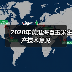 2020年黄淮海夏玉米生产技术意见(图4) 2020年黄淮海夏玉米生产技术意见(图4)