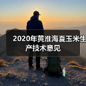 2020年黄淮海夏玉米生产技术意见(图3) 2020年黄淮海夏玉米生产技术意见(图3)