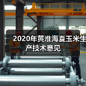 2020年黄淮海夏玉米生产技术意见(图2) 2020年黄淮海夏玉米生产技术意见(图2)