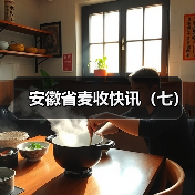 安徽省麦收快讯（七）（图3）
