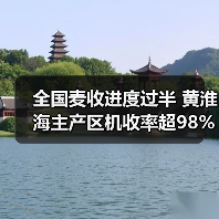 全国麦收进度过半 黄淮海主产区机收率超98%（图2）