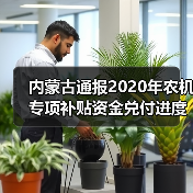 内蒙古通报2020年农机专项补贴资金兑付进度情况(图2) 内蒙古通报2020年农机专项补贴资金兑付进度情况(图2)