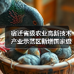 宿迁省级农业高新技术产业示范区新增国家级实践教育平台（图3）