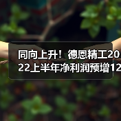 同向上升!德恩精工2022上半年净利润预增127.14%-150.52%(图3) 同向上升!德恩精工2022上半年净利润预增127.14%-150.52%(图3)