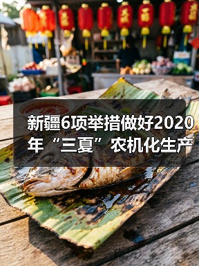 新疆6项举措做好2020年“三夏”农机化生产工作(图1) 新疆6项举措做好2020年“三夏”农机化生产工作(图1)