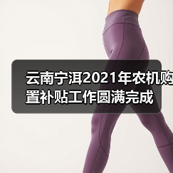 云南宁洱2021年农机购置补贴工作圆满完成(图2) 云南宁洱2021年农机购置补贴工作圆满完成(图2)