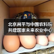 北京昌平与中国农科院共建国家未来农业中心（图3）