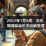 2022年1至6月：农机领域柴油机市场销售情况（图2）