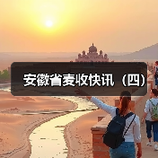 安徽省麦收快讯（四）（图4）