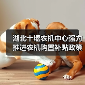 湖北十堰农机中心强力推进农机购置补贴政策落实落地（图2）