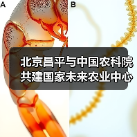北京昌平与中国农科院共建国家未来农业中心（图1）