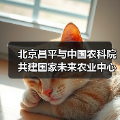 北京昌平与中国农科院共建国家未来农业中心（图3）