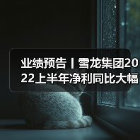 业绩预告丨雪龙集团2022上半年净利同比大幅下降（图2）