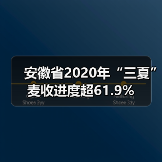 安徽省2020年“三夏”麦收进度超61.9%(图4) 安徽省2020年“三夏”麦收进度超61.9%(图4)