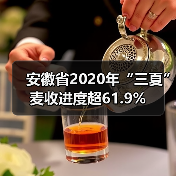 安徽省2020年“三夏”麦收进度超61.9%(图1) 安徽省2020年“三夏”麦收进度超61.9%(图1)
