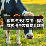 聚焦核技术应用,同方威视携手农科院共建高能电子农业应用产业研究院(图3) 聚焦核技术应用,同方威视携手农科院共建高能电子农业应用产业研究院(图3)