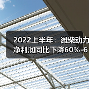 2022上半年:潍柴动力净利润同比下降60%-65%(图4) 2022上半年:潍柴动力净利润同比下降60%-65%(图4)