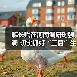 韩长赋在河南调研时强调 切实抓好“三夏”生产 确保小康之年粮食和农业丰收（图3）