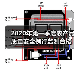 2020年第一季度农产品质量安全例行监测合格率达97.9%（图4）