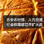农业农村部、人力资源社会保障部召开扩大返乡留乡农民工就地就近就业视频调度会(图3) 农业农村部、人力资源社会保障部召开扩大返乡留乡农民工就地就近就业视频调度会(图3)