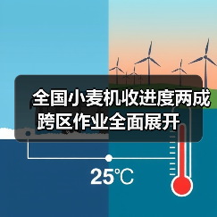 全国小麦机收进度两成 跨区作业全面展开（图4）