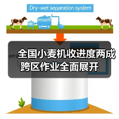 全国小麦机收进度两成 跨区作业全面展开（图2）