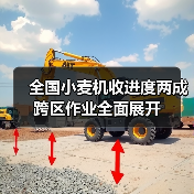 全国小麦机收进度两成 跨区作业全面展开（图1）