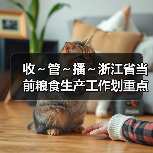 收~管~播~浙江省当前粮食生产工作划重点!(图4) 收~管~播~浙江省当前粮食生产工作划重点!(图4)