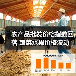 农产品批发价格指数回落 蔬菜水果价格波动（图3）