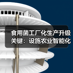 食用菌工厂化生产升级关键:设施农业智能化发展(图2) 食用菌工厂化生产升级关键:设施农业智能化发展(图2)