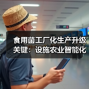 食用菌工厂化生产升级关键:设施农业智能化发展(图3) 食用菌工厂化生产升级关键:设施农业智能化发展(图3)