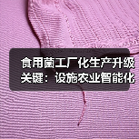 食用菌工厂化生产升级关键:设施农业智能化发展(图4) 食用菌工厂化生产升级关键:设施农业智能化发展(图4)