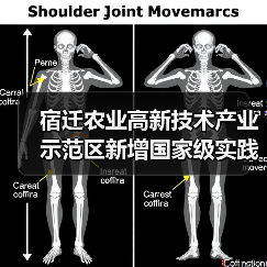 宿迁农业高新技术产业示范区新增国家级实践教育基地（图3）