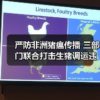 严防非洲猪瘟传播 三部门联合打击生猪调运违规行为（图2）