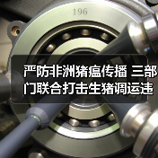 严防非洲猪瘟传播 三部门联合打击生猪调运违规行为（图3）
