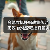 多地农机补贴政策落地见效 优化流程提升服务效能(图3) 多地农机补贴政策落地见效 优化流程提升服务效能(图3)