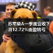 苏常柴A一季度营收下滑12.72%由盈转亏（图2）